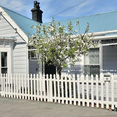 In Dunedin'S Heart, Full House, Full Sun, Full Chill, Why Stay At A Hotel When You Can Afford An Entire House 外观 照片
