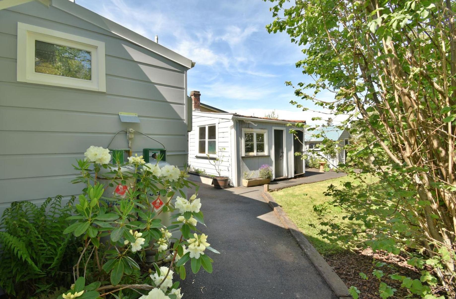 In Dunedin'S Heart, Full House, Full Sun, Full Chill, Why Stay At A Hotel When You Can Afford An Entire House 外观 照片