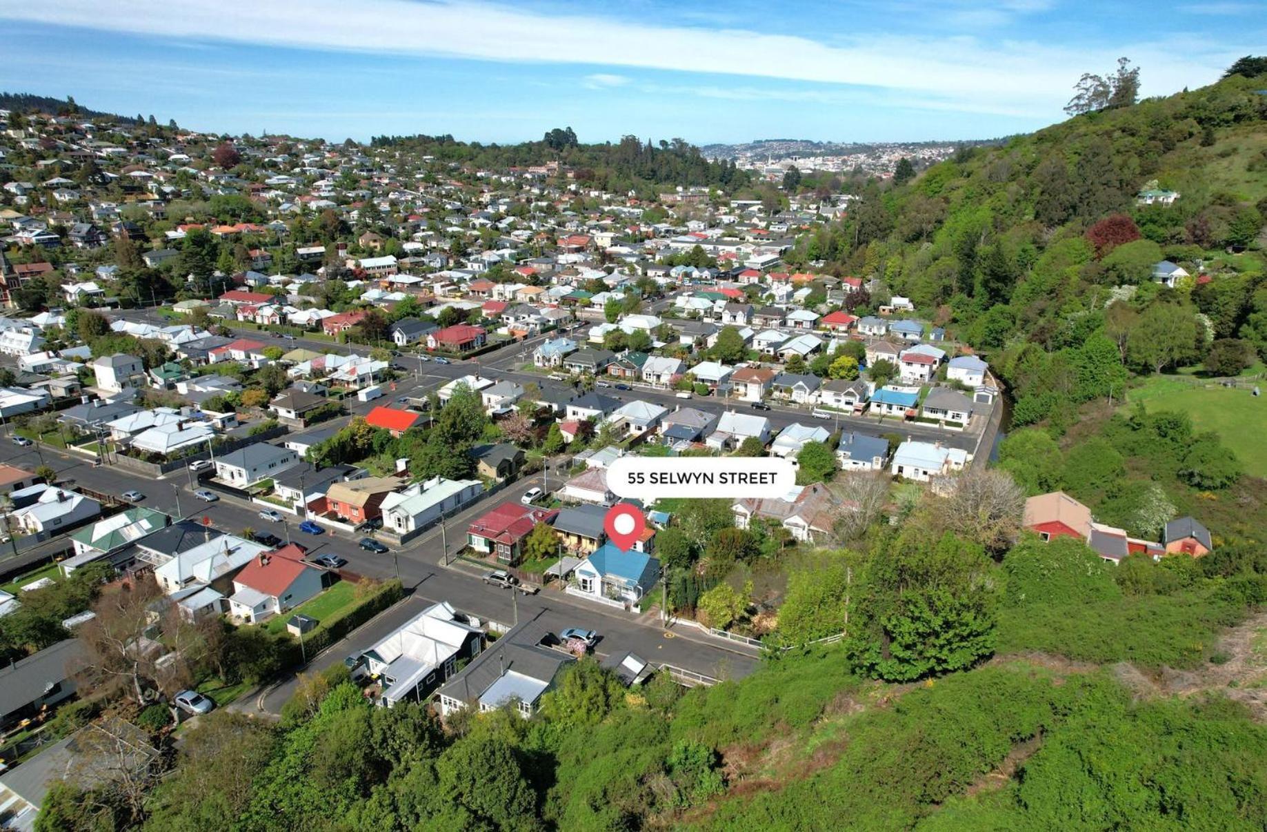 In Dunedin'S Heart, Full House, Full Sun, Full Chill, Why Stay At A Hotel When You Can Afford An Entire House 外观 照片