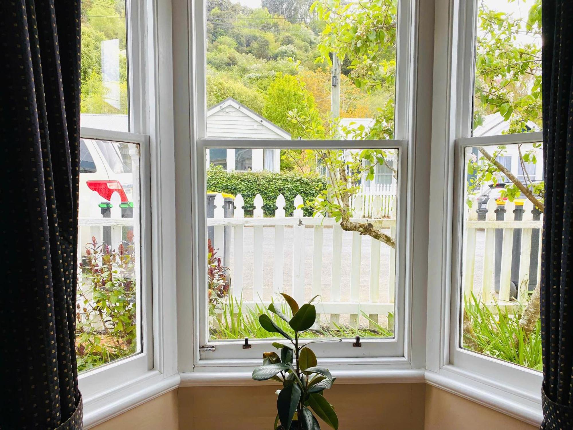 In Dunedin'S Heart, Full House, Full Sun, Full Chill, Why Stay At A Hotel When You Can Afford An Entire House 外观 照片