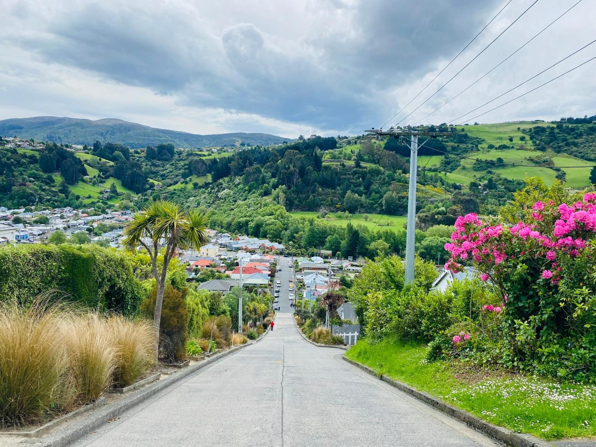 In Dunedin'S Heart, Full House, Full Sun, Full Chill, Why Stay At A Hotel When You Can Afford An Entire House 外观 照片